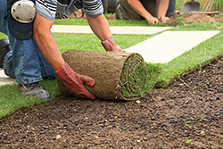 Dry Creeks & Drainage, Grading & Sodding