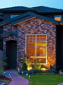 Landscape Lighting