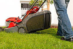 Lawn & Landscape Maintenance Services
