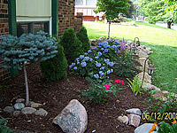 Design &amp; Plantings