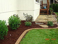 Design &amp; Plantings