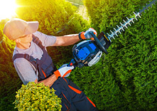 Lawn and Landscape Maintenance