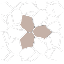 3 STONE TESSELLATED